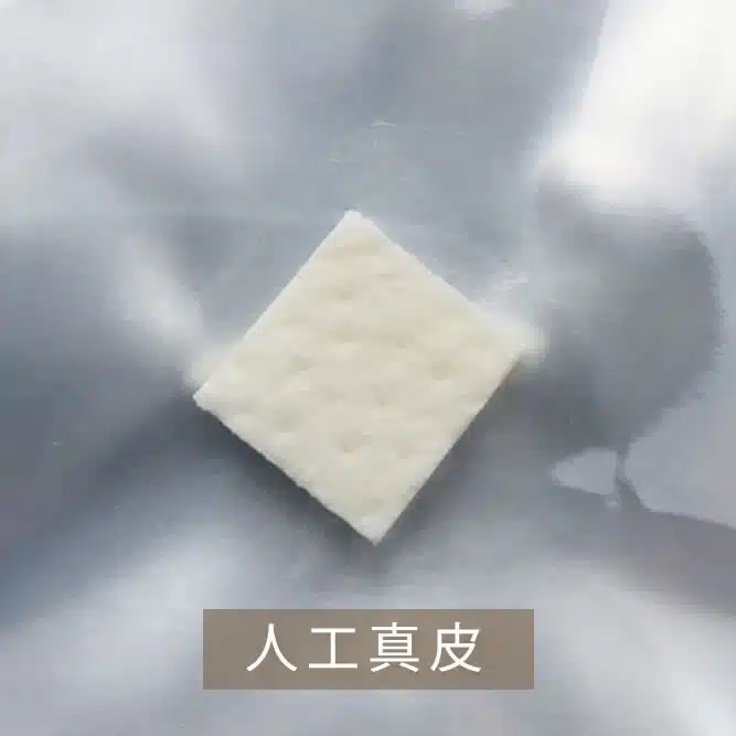 人工真皮の写真　横浜みなとみらい