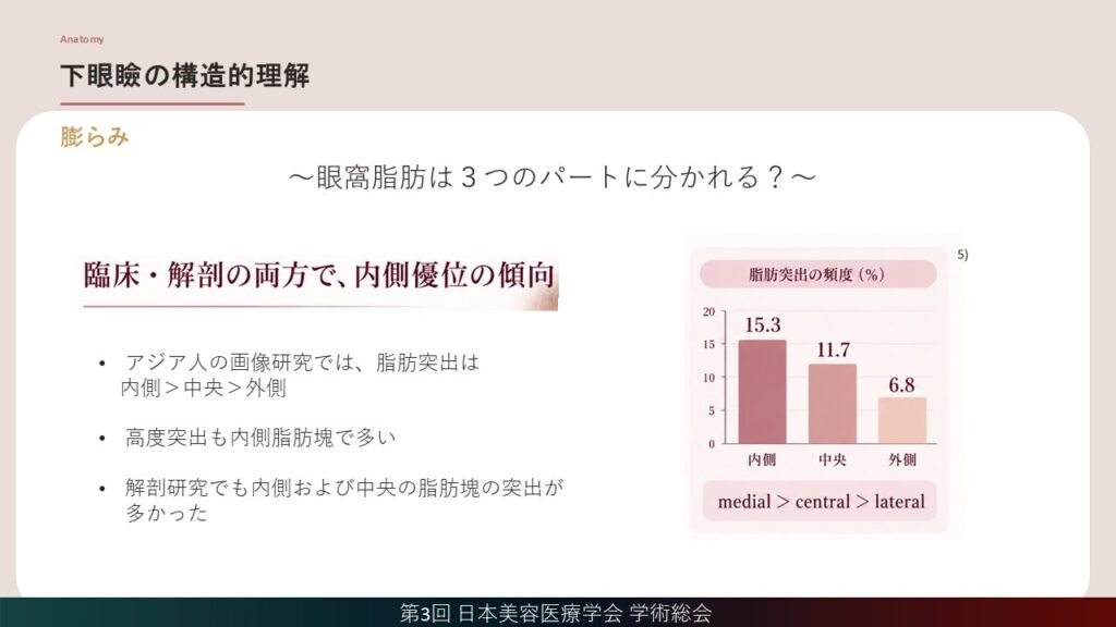 5_下眼瞼の構造的理解